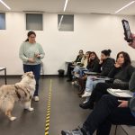 Microcredencial em Aprendizagem Canina reforça competências para a intervenção em contexto profissional