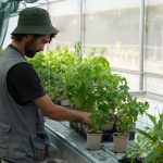ECAV moderniza estufas dos viveiros florestais com sistemas automatizados